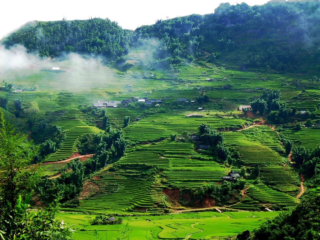 Sơn La