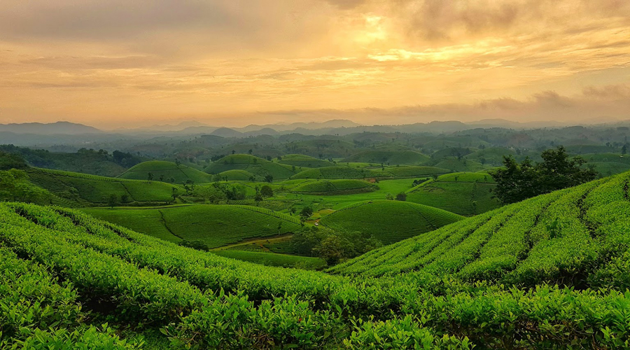 Giải chạy Long Cốc Trail 2026