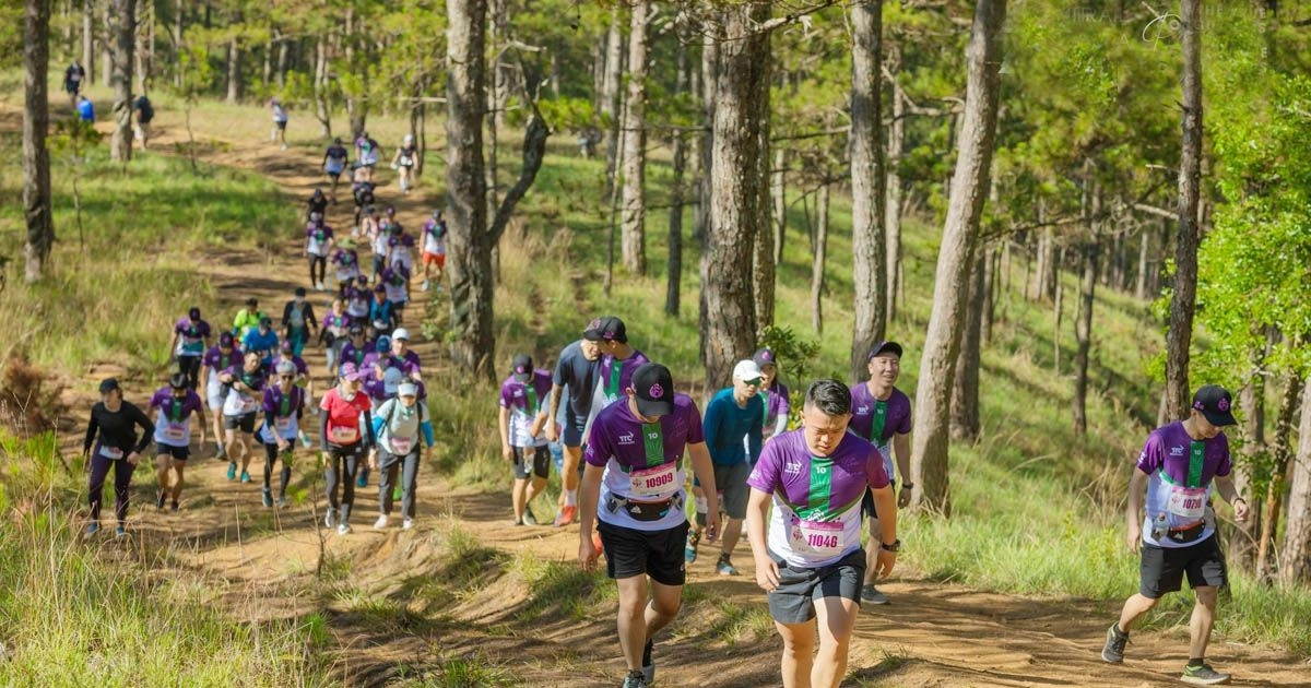 Giải Marathon "Đà Lạt City Trail - Theo dấu di sản"