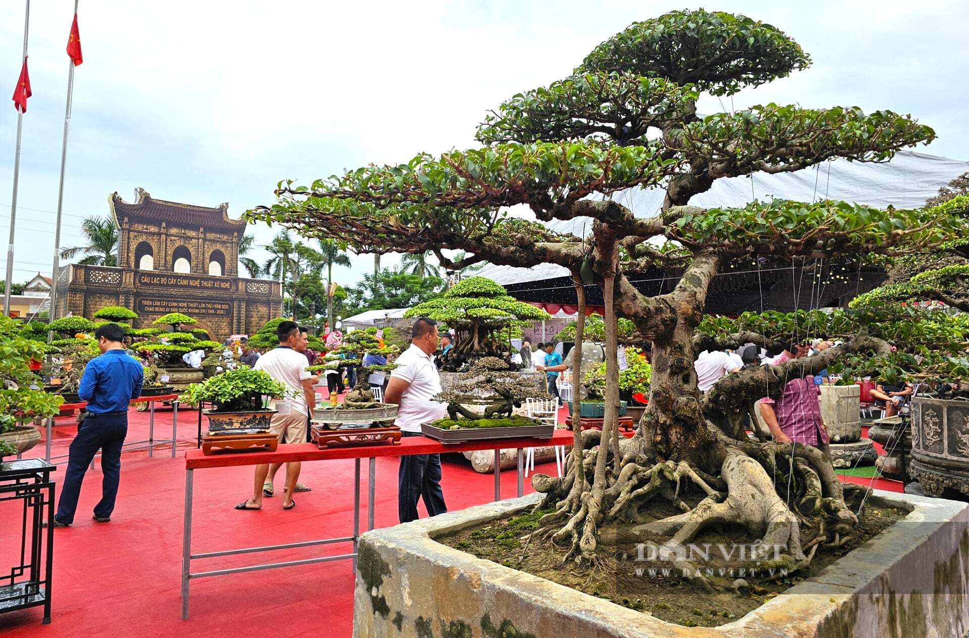 Triển lãm Sinh vật cảnh và Hoa lan nghệ thuật
