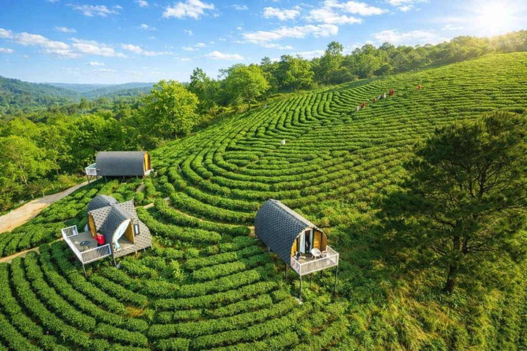 Miễn phí vui chơi tại Khu du lịch sinh thái Kolia